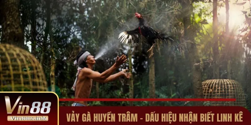 vay ga huyen tram thum