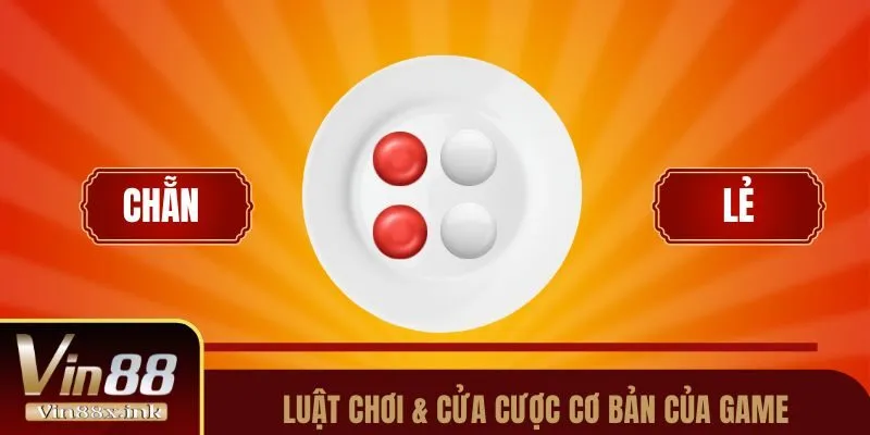 Luật chơi & cửa cược cơ bản của game